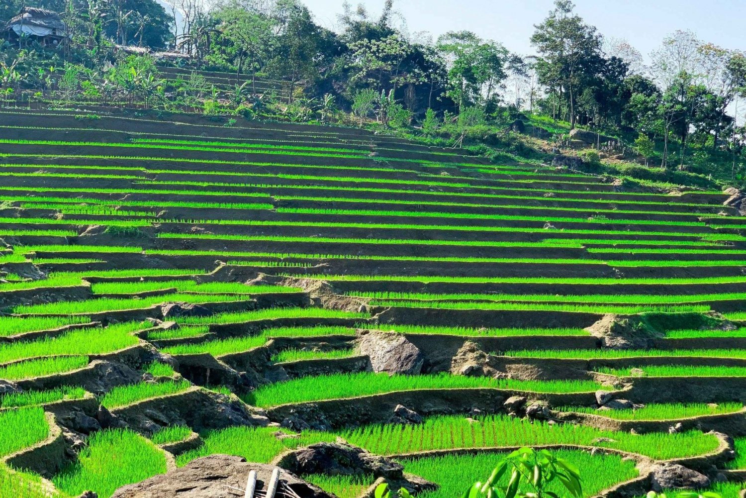 De Hanoi a Pu Luong: excursión de 2 días por pueblos étnicos