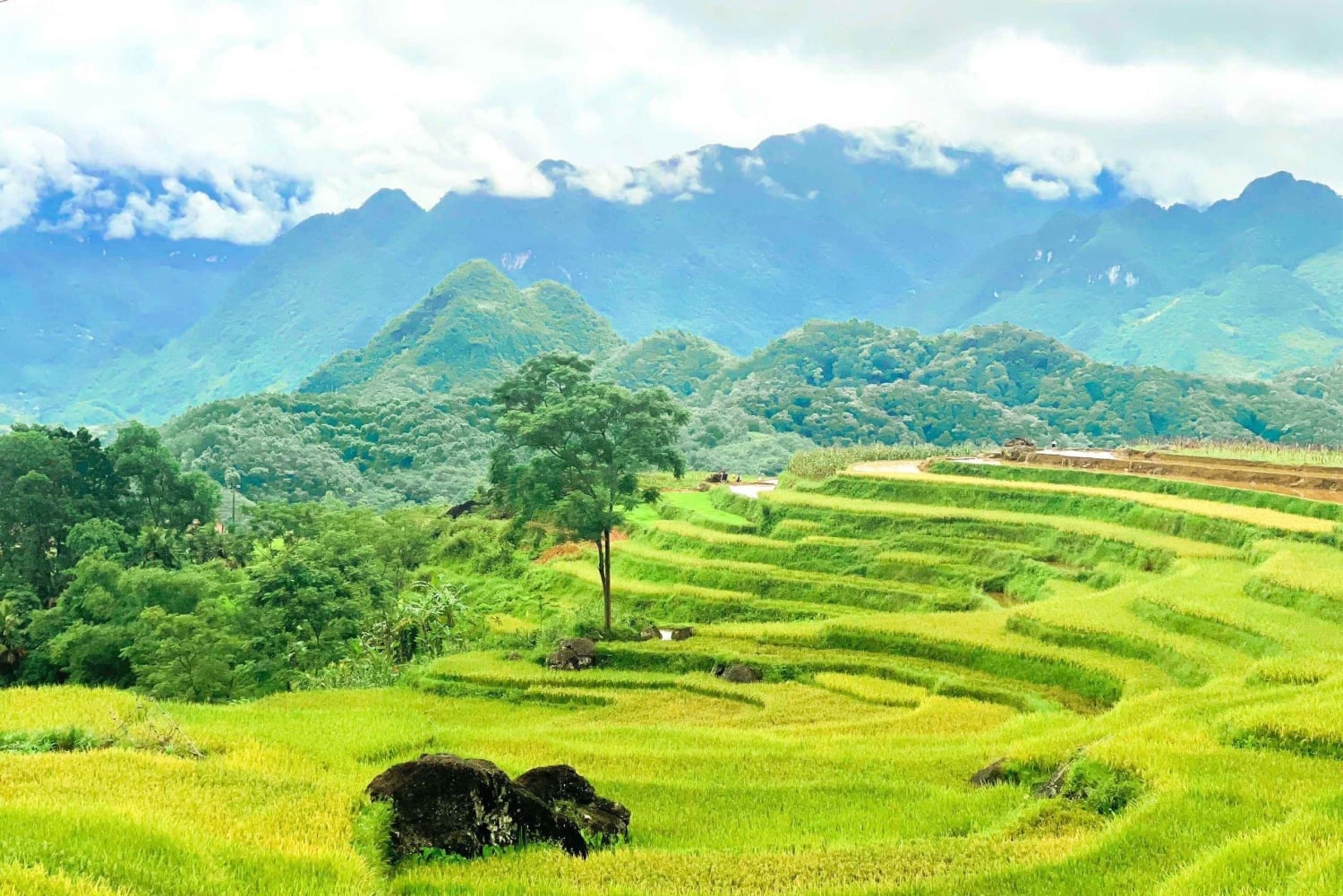 Из Ханоя в Пу Луонг: двухдневная поездка в этнические деревни
