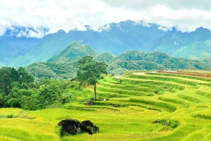 De Hanoi a Pu Luong: excursión de 2 días por pueblos étnicos