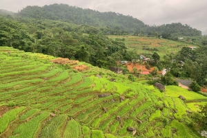 De Hanoi a Pu Luong: excursión de 2 días por pueblos étnicos