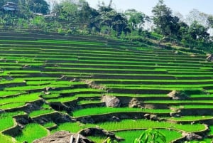 Hanoista Pu Luongiin: 2 päivän matka etnisiin kyliin