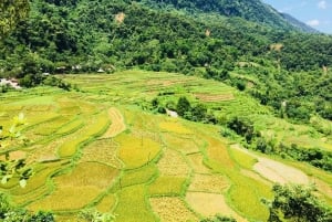 Из Ханоя в Пу Луонг: двухдневная поездка в этнические деревни