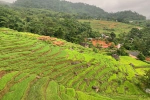 Из Ханоя в Пу Луонг: двухдневная поездка в этнические деревни