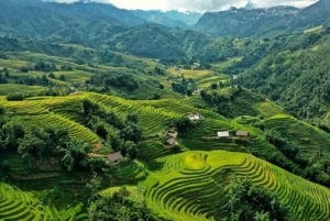 Från Hanoi: Vandring och övernattning: 3-dagars äventyr i Sapa Highlands