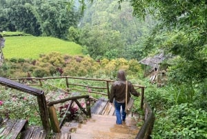 Från Hanoi: Vandring och övernattning: 3-dagars äventyr i Sapa Highlands