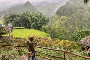 Från Hanoi: Vandring och övernattning: 3-dagars äventyr i Sapa Highlands