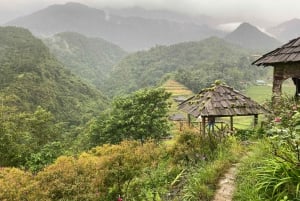 Från Hanoi: Vandring och övernattning: 3-dagars äventyr i Sapa Highlands
