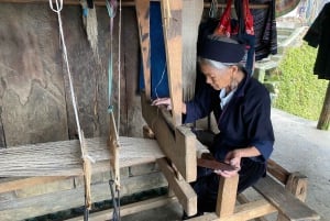 Från Hanoi: Vandring och övernattning: 3-dagars äventyr i Sapa Highlands