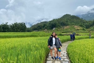 Från Hanoi: Vandring och övernattning: 3-dagars äventyr i Sapa Highlands