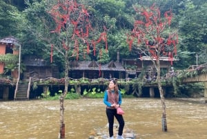 Från Hanoi: Vandring och övernattning: 3-dagars äventyr i Sapa Highlands