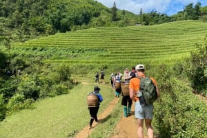 Från Hanoi: Vandring och övernattning: 3-dagars äventyr i Sapa Highlands