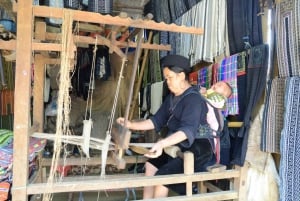 Z Hanoi: 2-dniowa wycieczka autobusem limuzyną do Sapa i wizyta na szczycie Fansipan