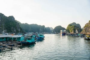 Desde Hanoi: Crucero por la bahía de Lan Ha y la isla de Cat Ba con almuerzo