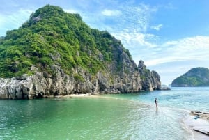 From Hanoi: Visit Cat Ba Islands & Floating Village In 1 Day