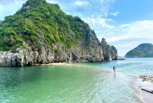 De Hanói: Visita as ilhas Cat Ba e a aldeia flutuante em 1 dia