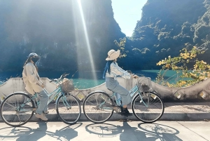 De Hanói: Visita as ilhas Cat Ba e a aldeia flutuante em 1 dia