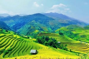 Fra Hanoi: Besøg Sapa og erobre Fansipan i 2 dage og 1 nat