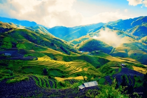 Fra Hanoi: Besøg Sapa og erobre Fansipan i 2 dage og 1 nat