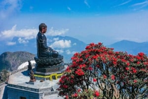 Fra Hanoi: Besøg Sapa og erobre Fansipan i 2 dage og 1 nat