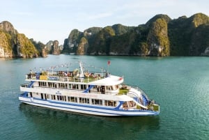 Da Ninh Binh: Crociera di lusso di 1 giorno nella Baia di Ha Long con buffet