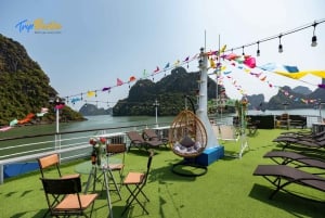 Da Ninh Binh: Crociera di lusso di 1 giorno nella Baia di Ha Long con buffet