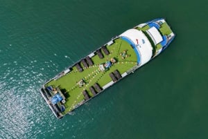 Da Ninh Binh: Crociera di lusso di 1 giorno nella Baia di Ha Long con buffet