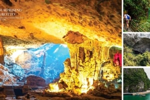 Da Ninh Binh: Crociera di lusso di 1 giorno nella Baia di Ha Long con buffet