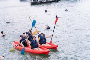 Von Ninh Binh aus: 2-tägige 4-Sterne-geführte Bootstour nach Lan Ha und Halong-Bucht