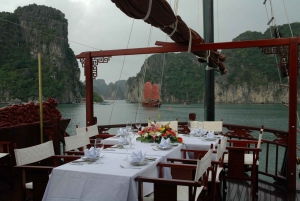 Da Ninh Binh: Crociera di 2 giorni nella baia di Bai Tu Long con Dragon Pearl