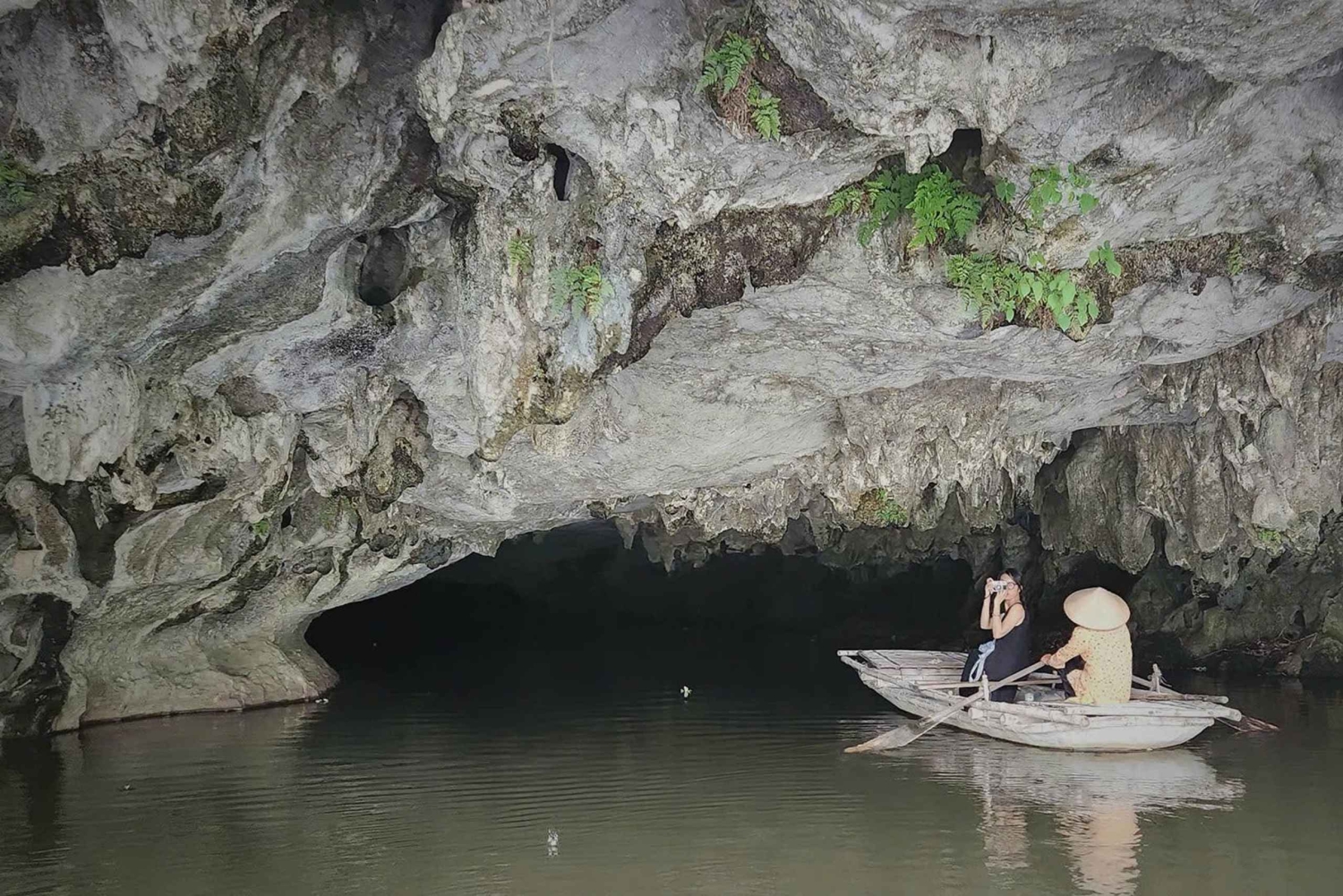 Depuis Ninh Binh : Cuc Phuong - Réserve de Van Long - Petits groupes