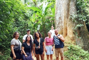 Depuis Ninh Binh : Cuc Phuong - Réserve de Van Long - Petits groupes