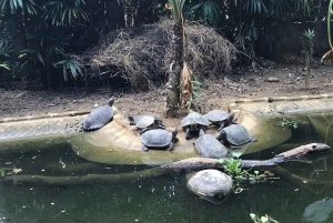 Depuis Ninh Binh : Cuc Phuong - Réserve de Van Long - Petits groupes