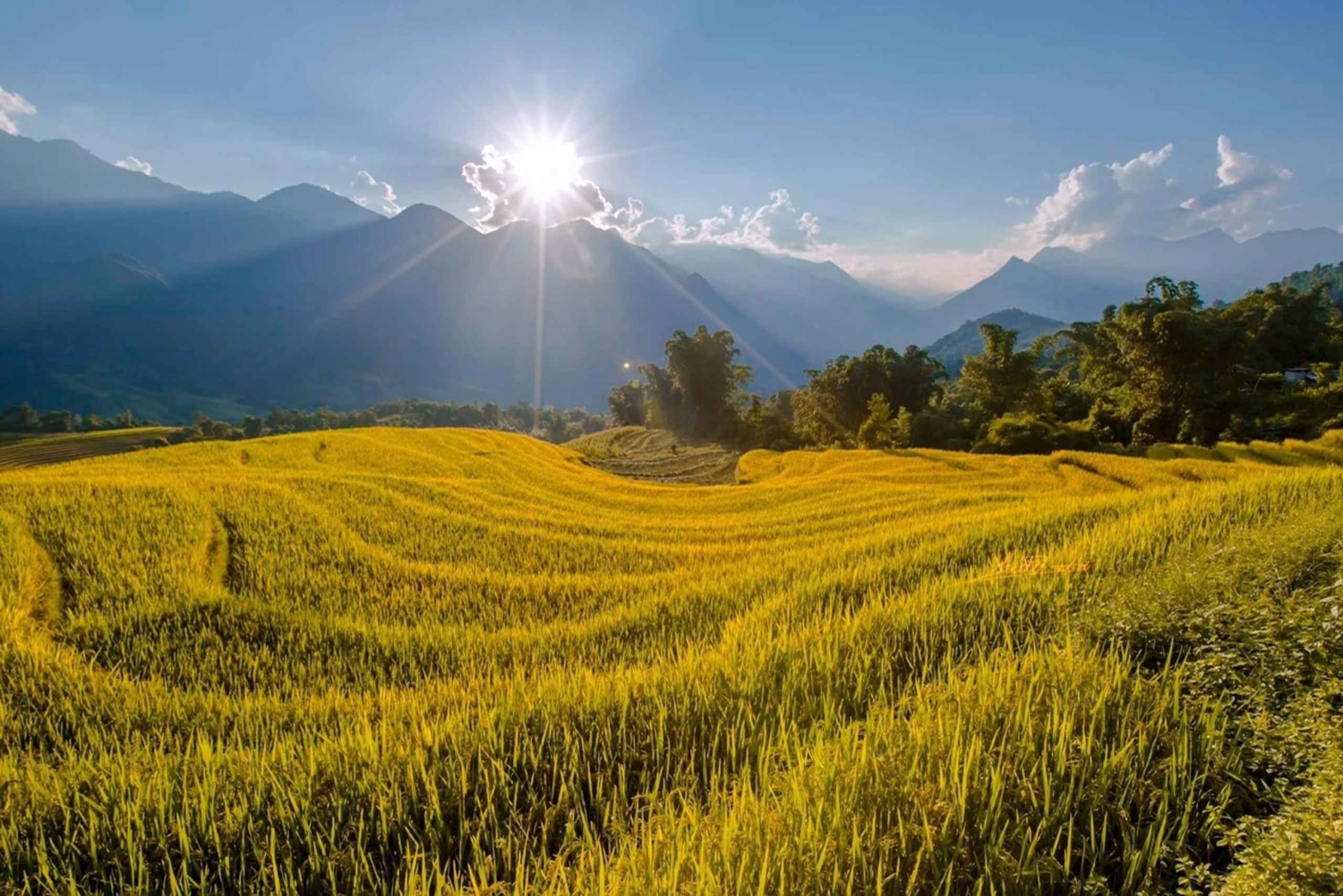 Från Sapa: 1-dags guidad vandring till Lao Chai & Ta Van med lunch