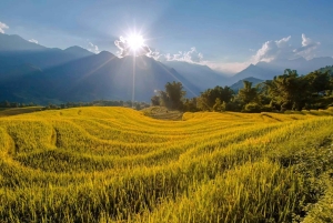 Från Sapa: 1-dags guidad vandring till Lao Chai & Ta Van med lunch