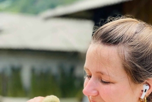 Von SaPa: 4-tägige Ha Giang Loop mit Safe Rider (max. 8 Personen)