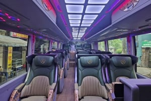 Día completo: Fabuloso tour por la bahía de Halong con crucero Taliya 5*
