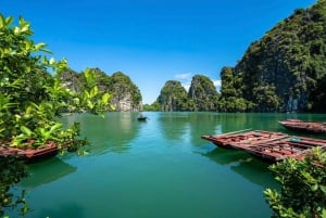 Día completo: Fabuloso tour por la bahía de Halong con crucero Taliya 5*