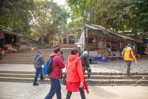 Full-Day Perfume Pagoda Private or Small-Group Tour