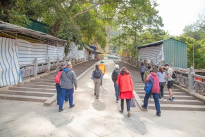Tour privato o per piccoli gruppi di un giorno intero alla Pagoda dei Profumi