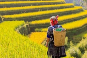 Z Hanoi: 5-dniowy rejs po zatoce Ha Long, Ninh Binh i Sapa