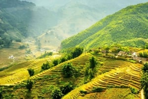 Z Hanoi: 5-dniowy rejs po zatoce Ha Long, Ninh Binh i Sapa