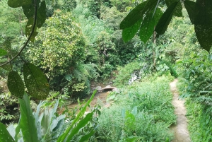 Ha Giang 2/3 Days Motorcyle Tour Easy-Rider/Pick-up (8pax)