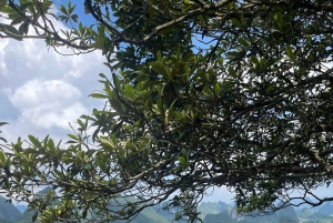 Au départ de Ha Giang : 6 jours et 5 nuits - Boucle de Ha Giang à Cao Bang avec EasyRider