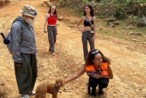 Au départ de Ha Giang : 6 jours et 5 nuits - Boucle de Ha Giang à Cao Bang avec EasyRider