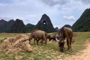 Au départ de Ha Giang : 6 jours et 5 nuits - Boucle de Ha Giang à Cao Bang avec EasyRider