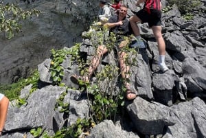 Tour Ha Giang Loop 4D3N Easyrider Jasmine