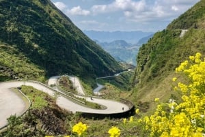 Hanoi: 4 päivän Ha Giang Loop Jasmine -kiertomatka