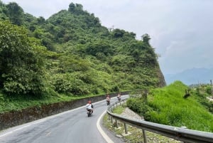 Cat Ba Island Lan Ha Bay Cruise med vannaktiviteter