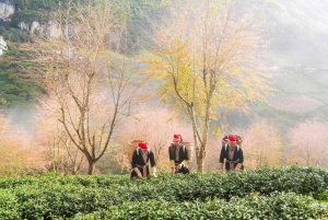 Ha Giang Loop motorcykeltur 2 dagar 1 natt