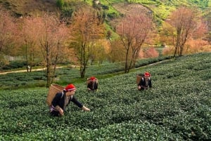 Ha Giang Loop motorcykeltur 2 dagar 1 natt